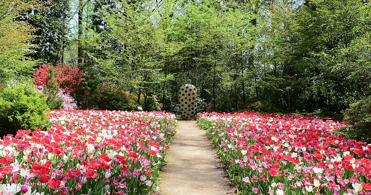 Tour the Gardens | Dixon Gallery &amp; Gardens
