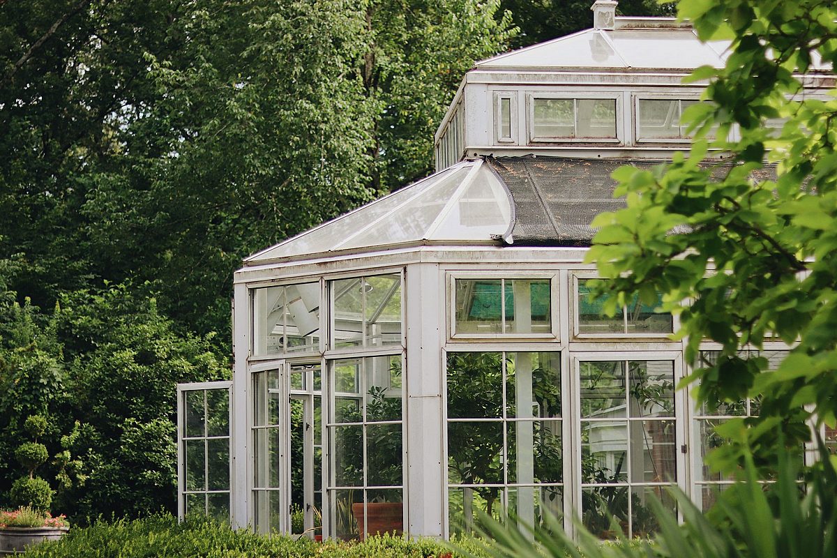 Greenhouse windows at the Dixon Gardens