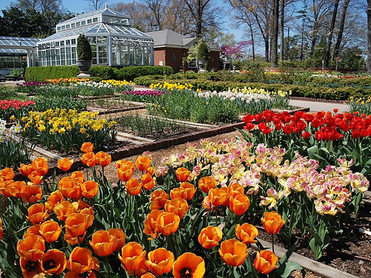 The Memphis Garden Cutting Club Garden at the Dixon