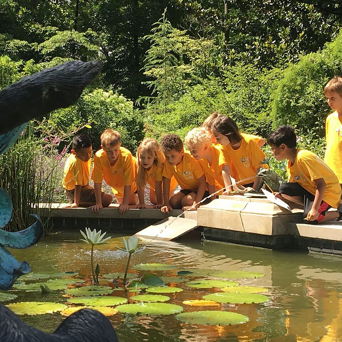 Children on a school field trip looking into the water at the Dixon