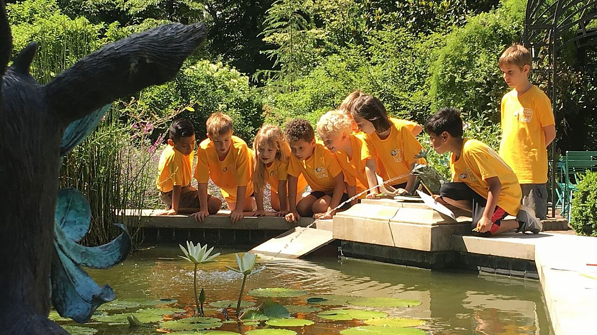 Children on a school field trip looking into the water at the Dixon