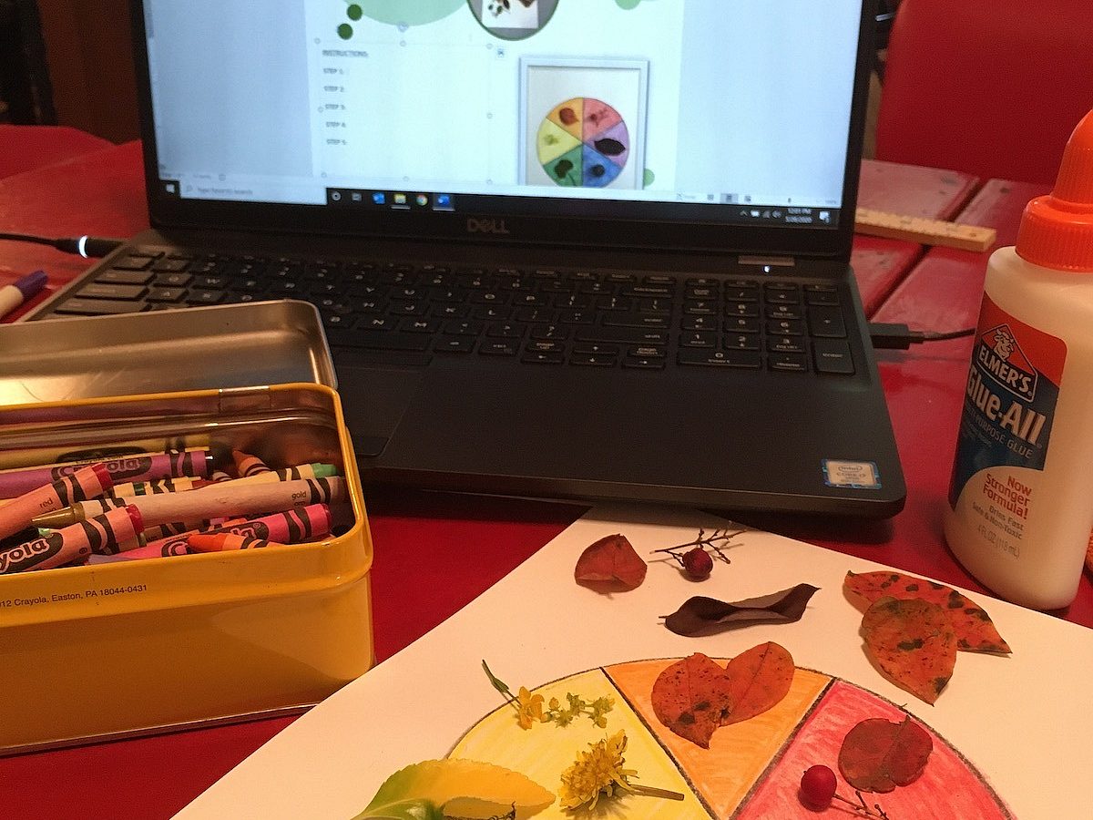 Virtual Learning - Kids in the garden