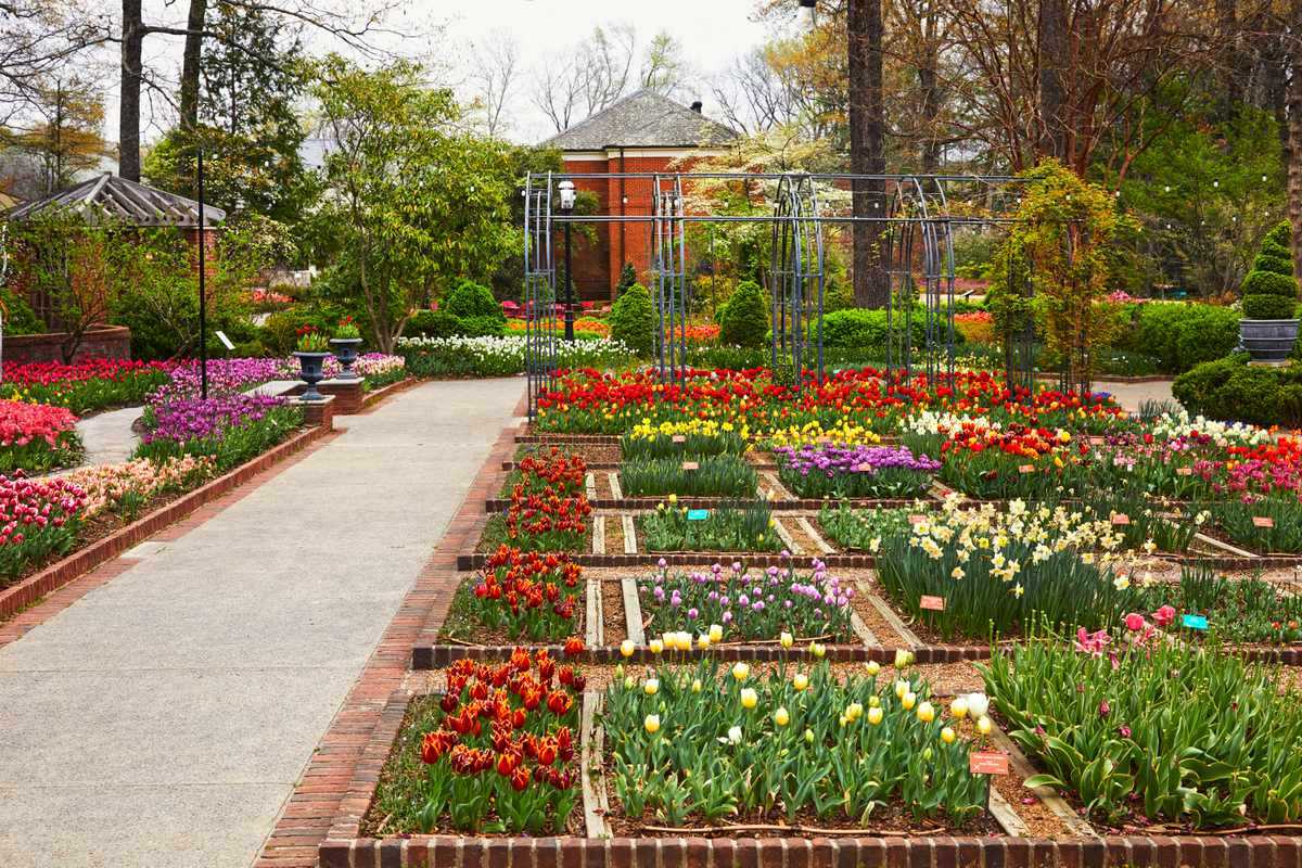 Southern-Living-DixonGardens-