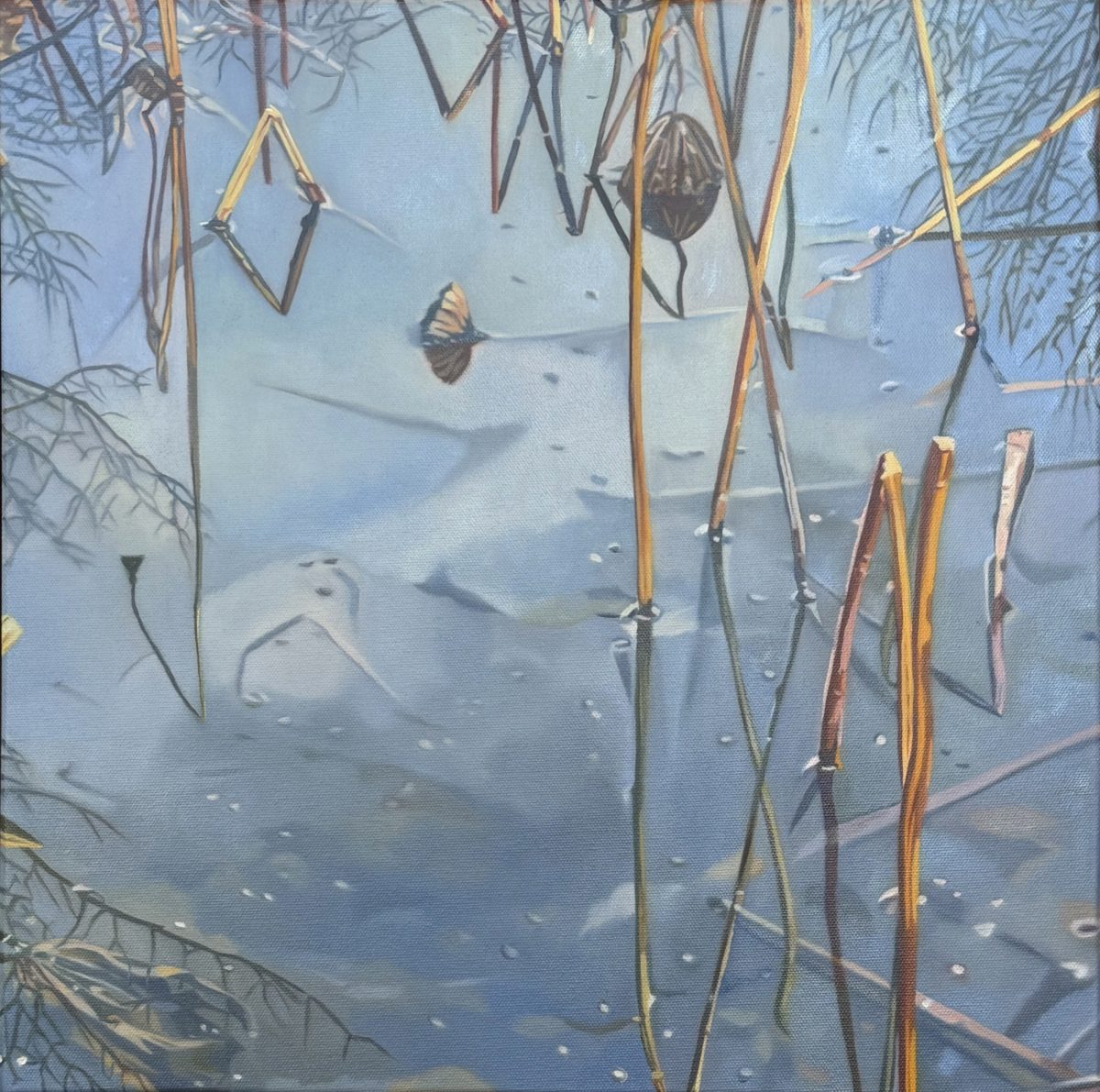 Edwards Beth Winter Pond IX