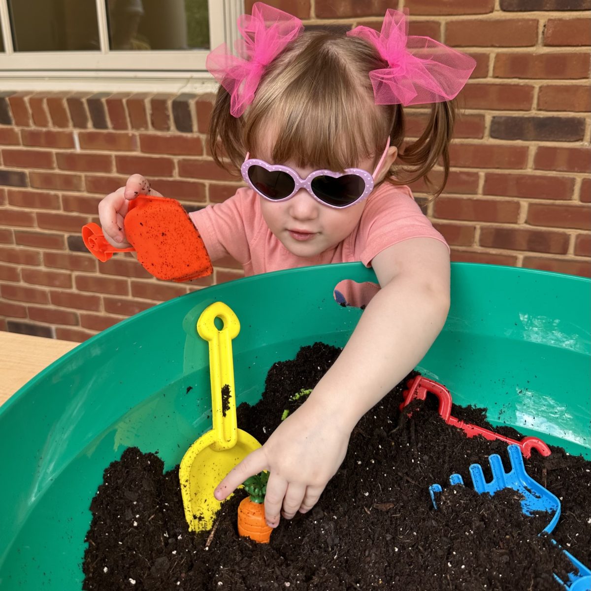 Mini Master Gardening