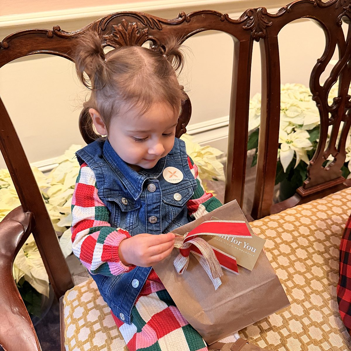 Phoebe and gift membership bag