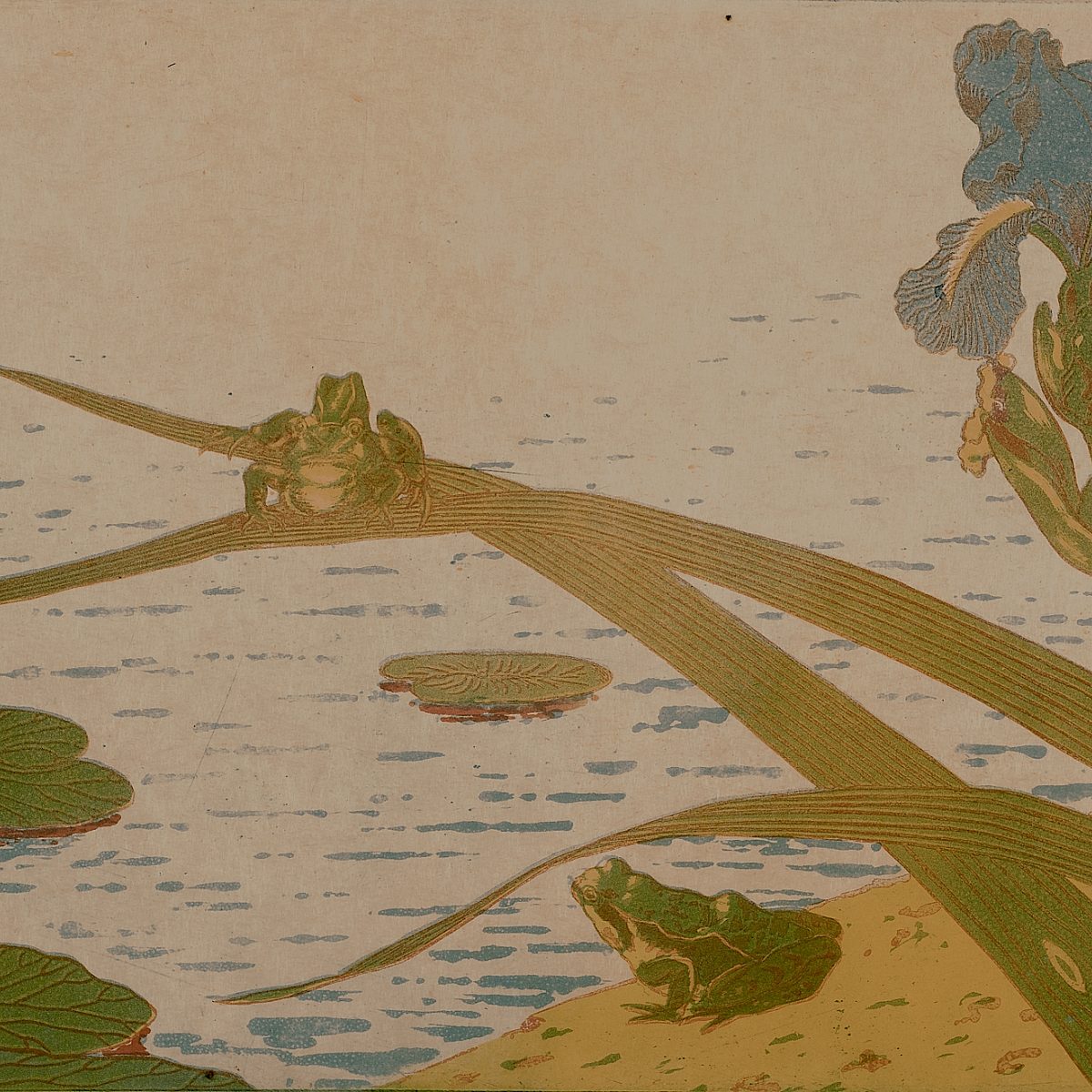 L Estampe Houdard Frogs