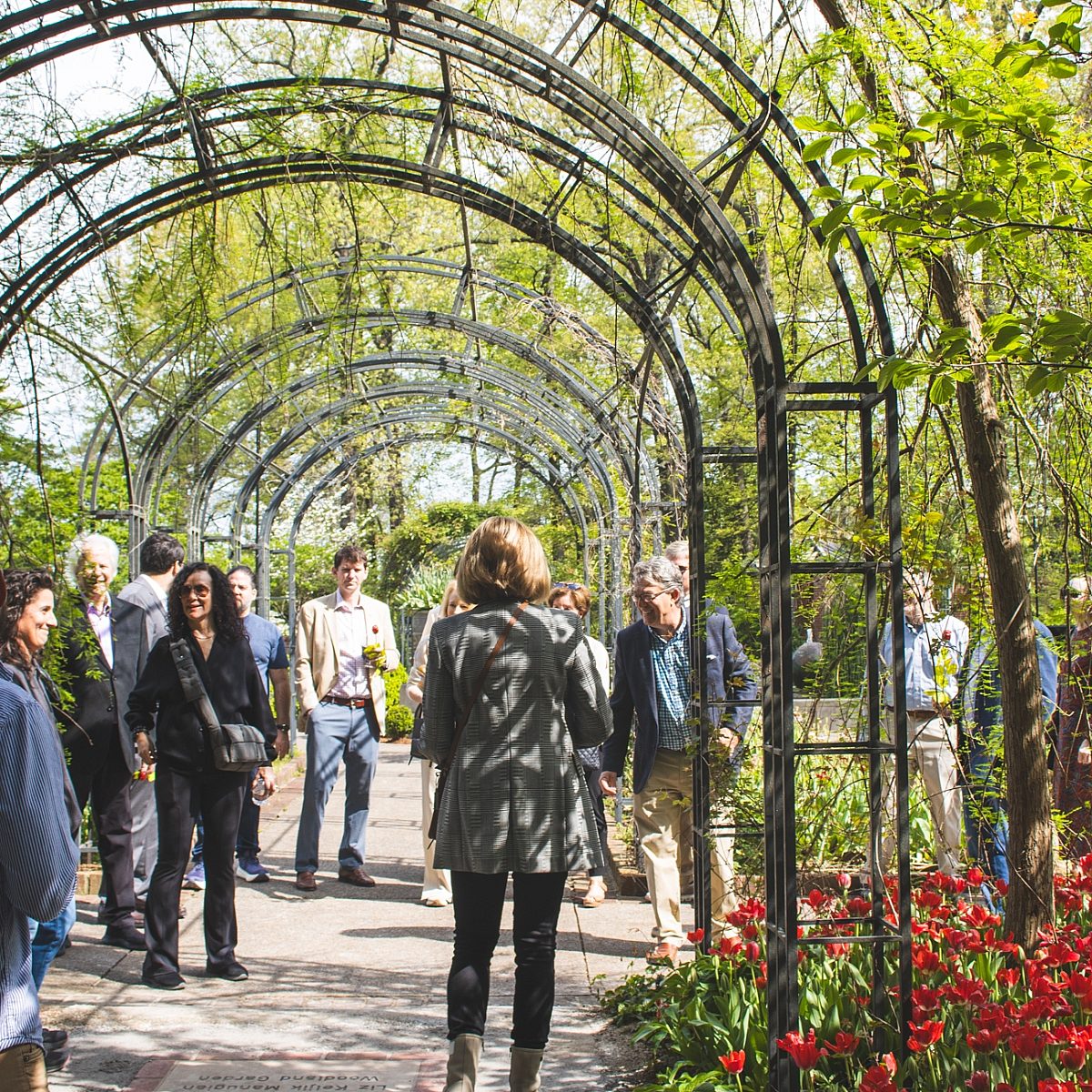 Membership FAQ Blog June2025 1