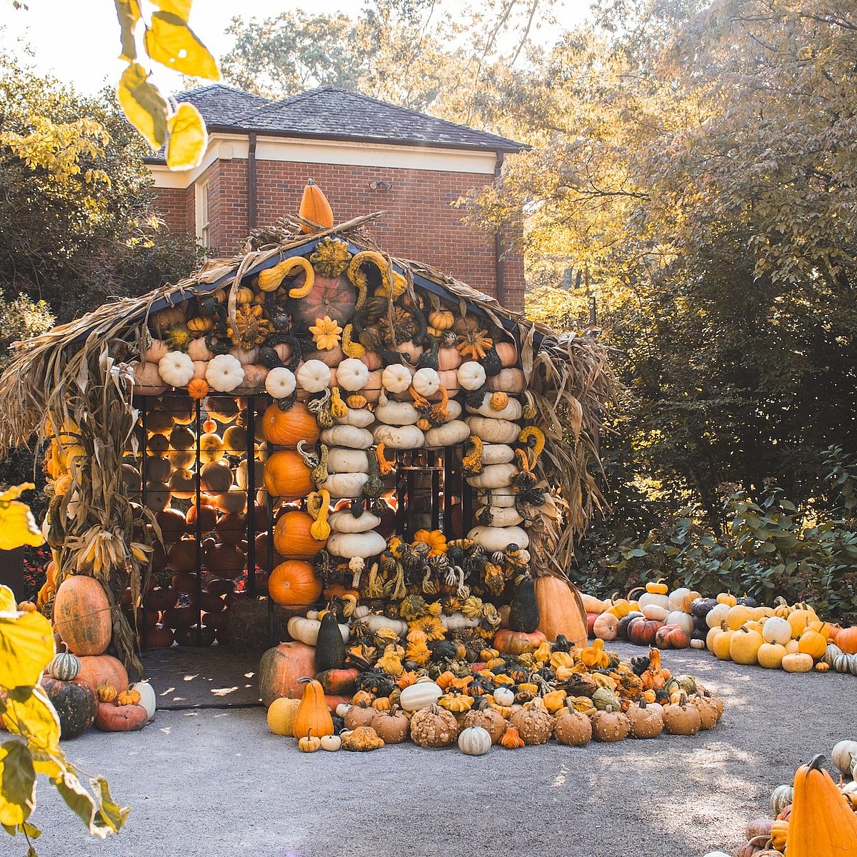 Pumpkin-House-fall-pumpkins