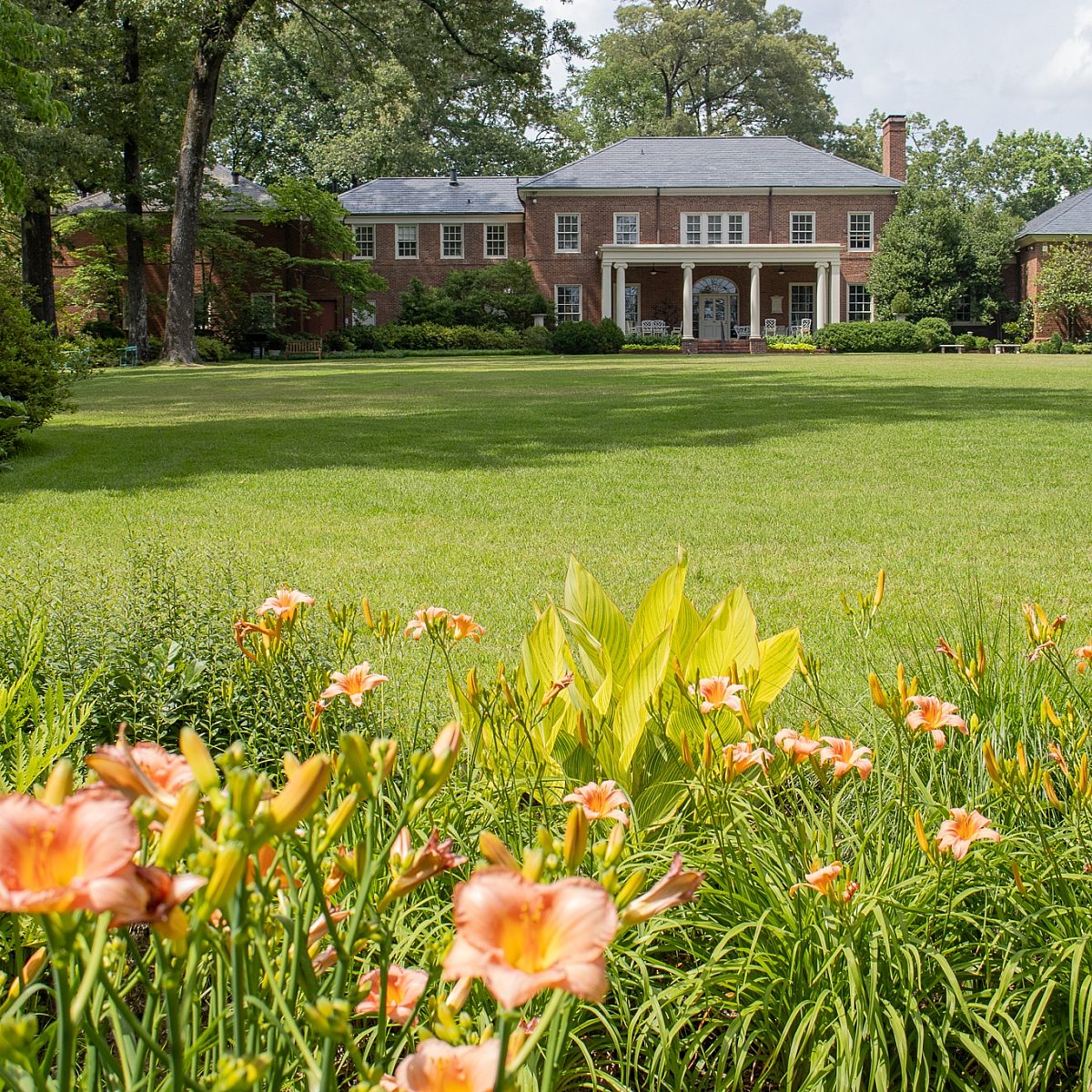 Summer Gardens South Lawn Hydrangeas Perinnial Border 02