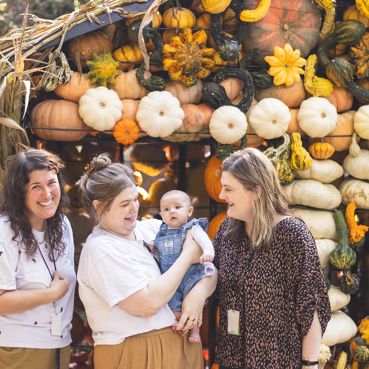 Legacy giving pumpkin house