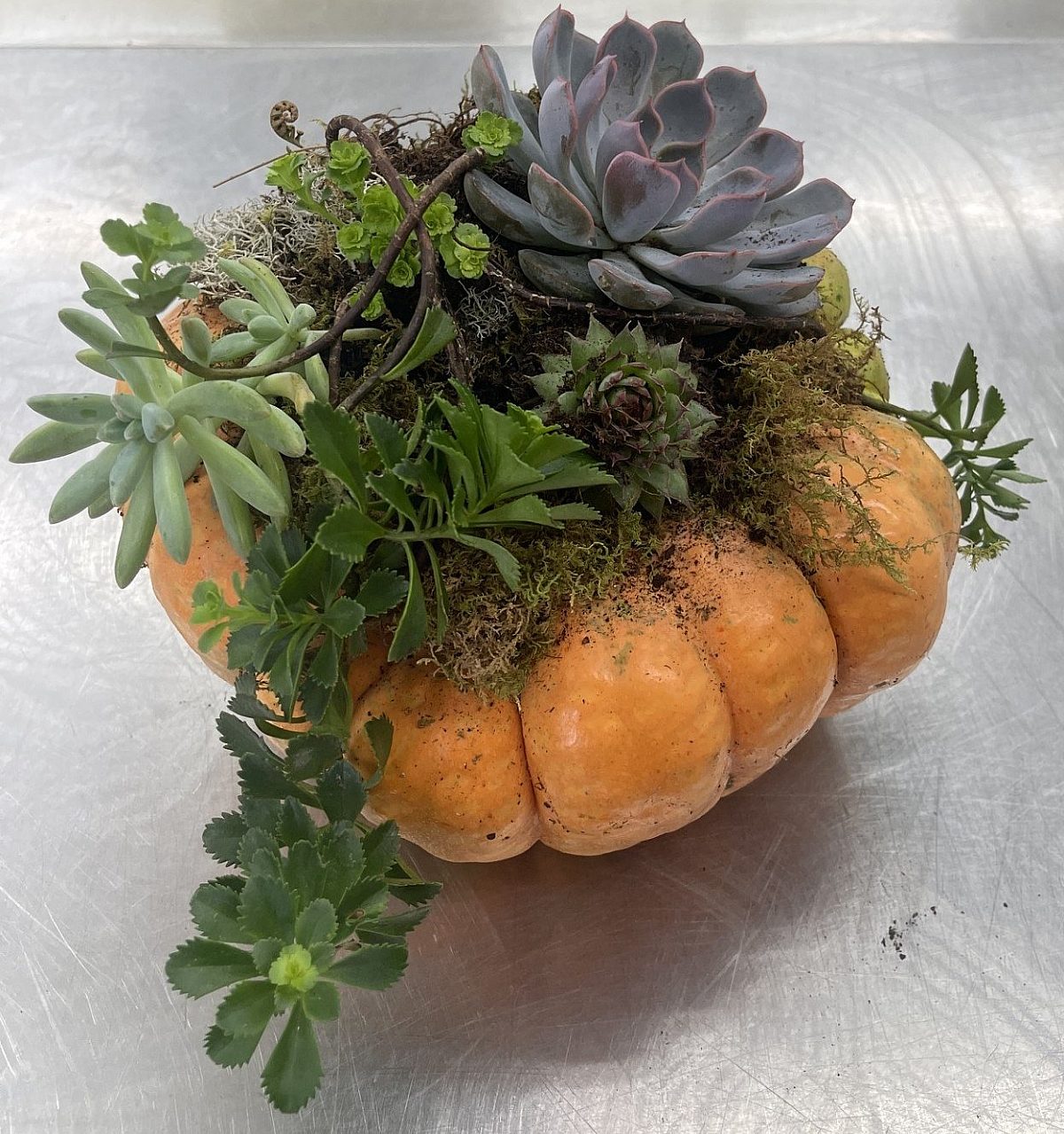 a pumpkin centerpiece with succulents in it