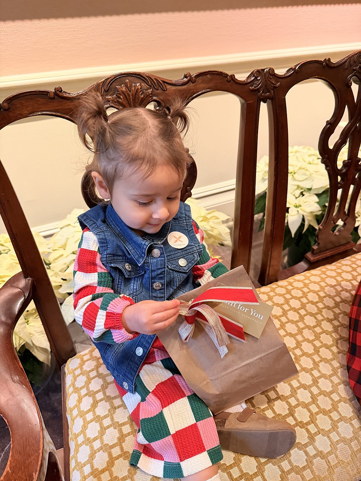 Phoebe and gift membership bag