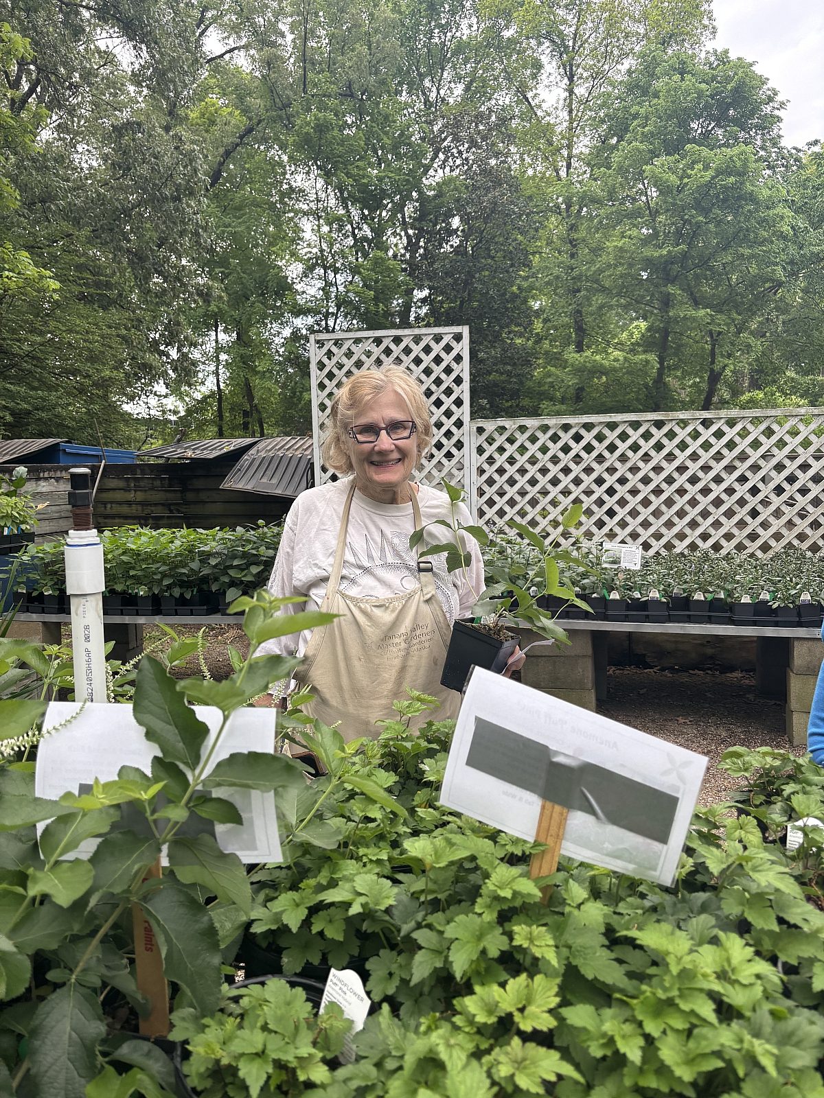 Plant Sale Vols April 14 2026 23