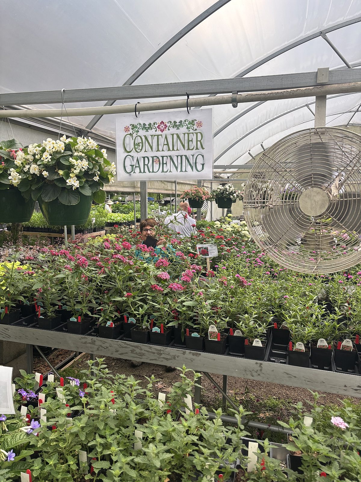 Plant Sale Vols April 14 2026 9