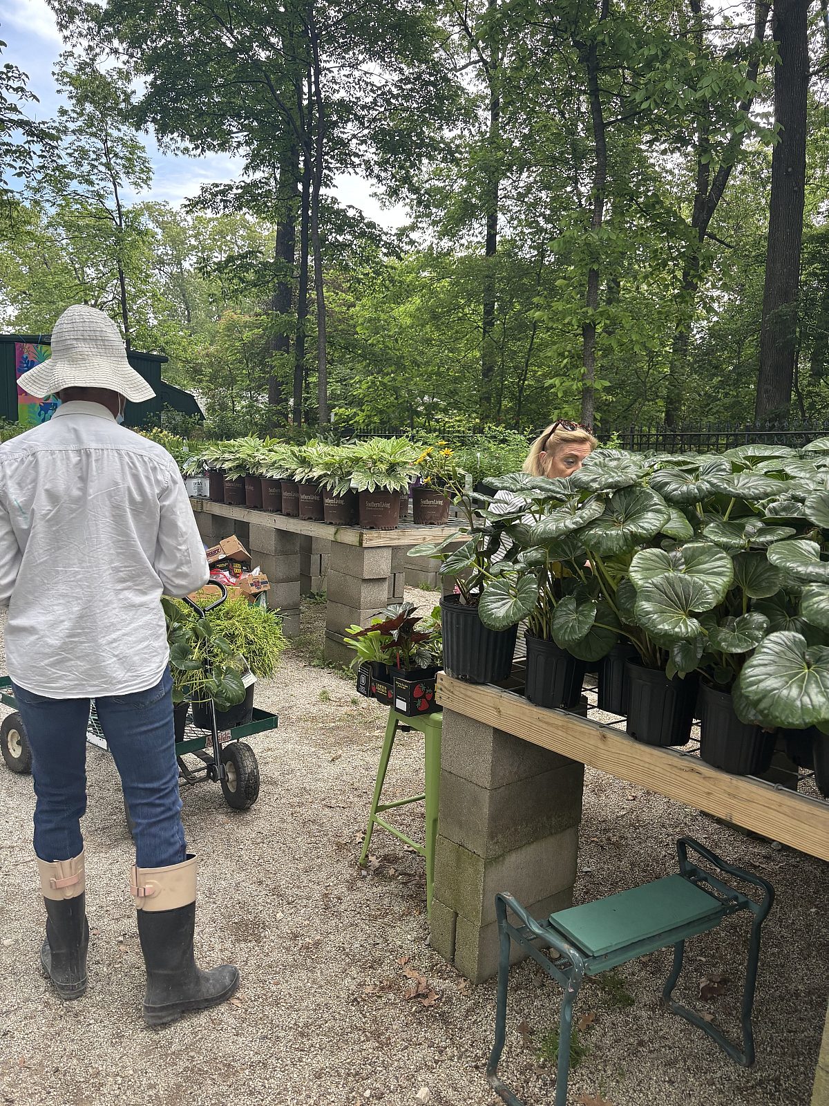 Plant Sale Vols April 14 2026 40