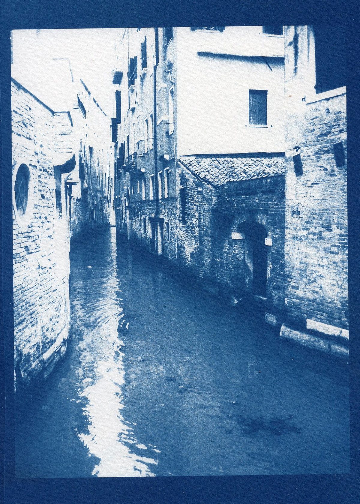 Candace Arthur Cyanotype001