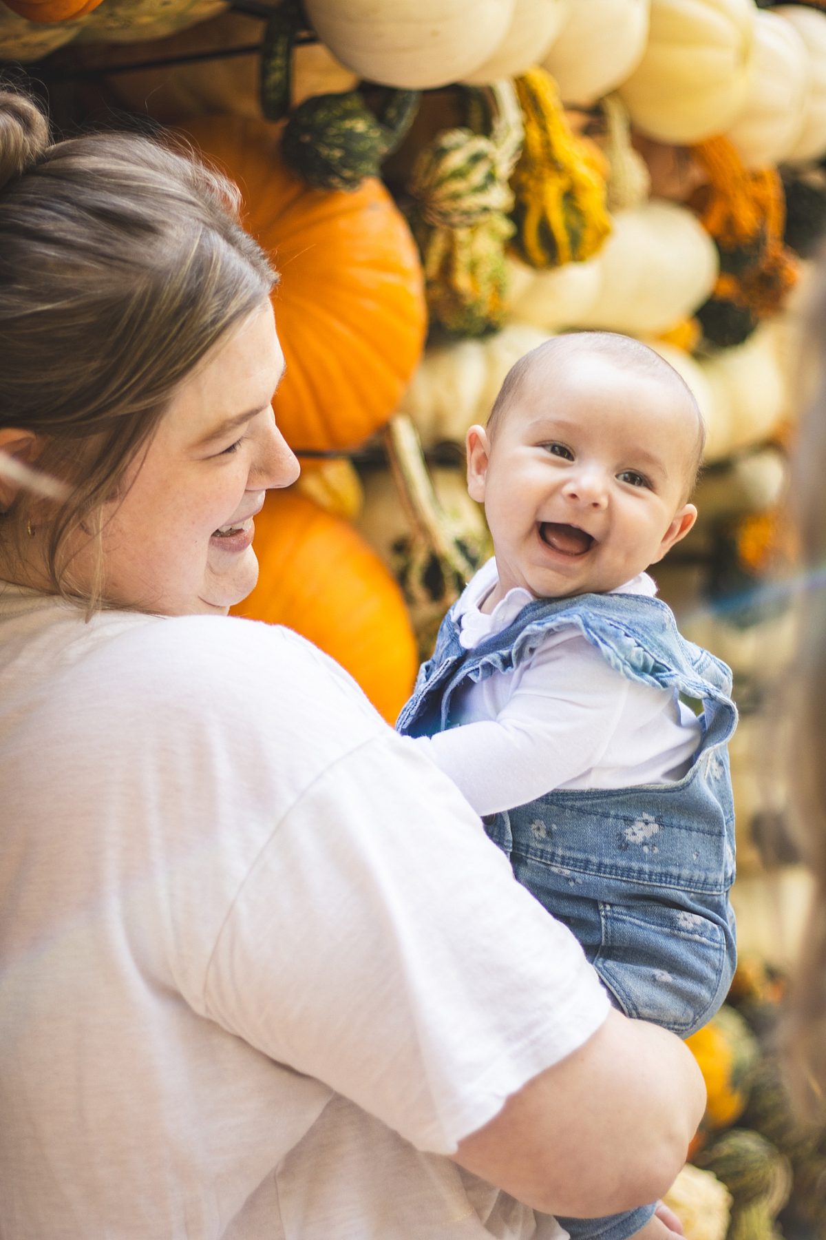 Pumpkinhouse-family-baby-pumpkins2