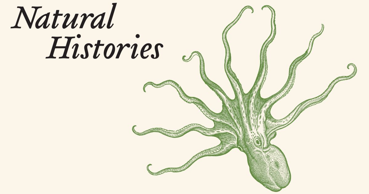 Natural Histories 400 Years Of Scientific Dixon Gallery Gardens