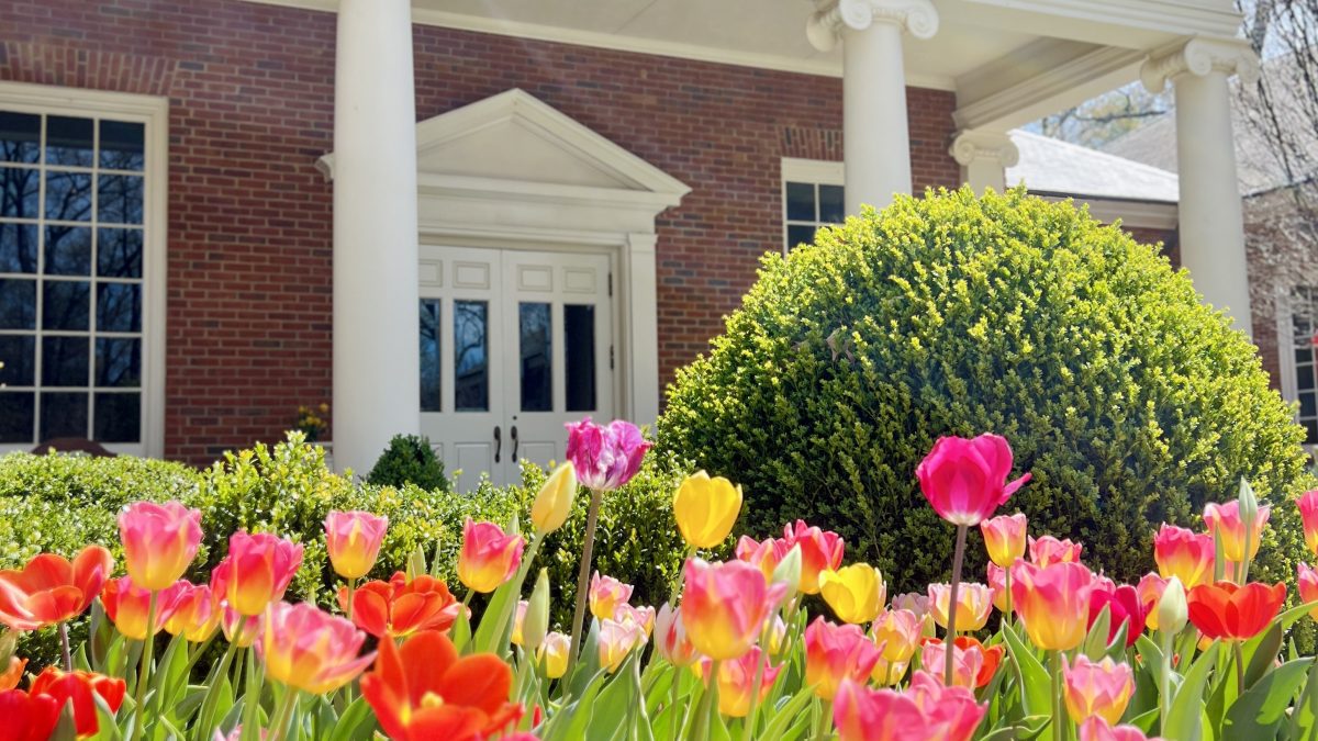 Dixon Entrance 2025 tulips