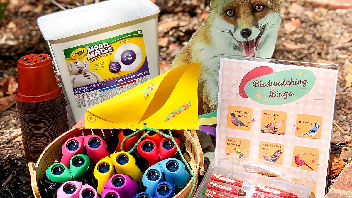 Fall Break Bonanza planned activities for free at Dixon