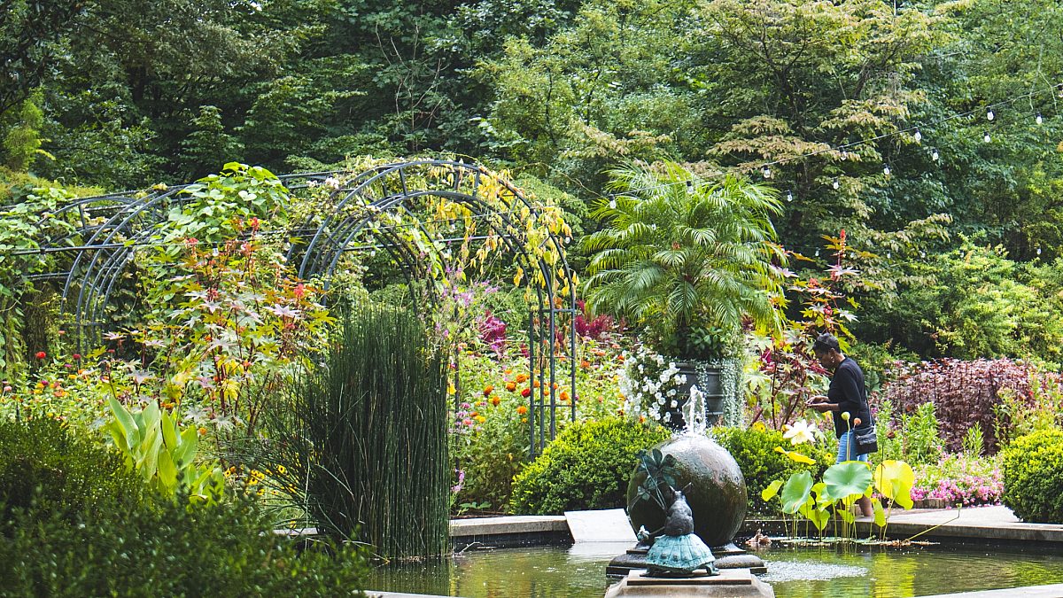 Garden Paths 2025 views