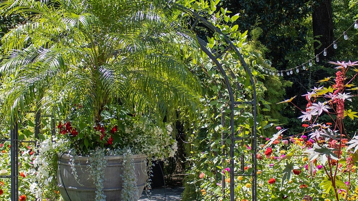 photo of the cutting gardens in bloom