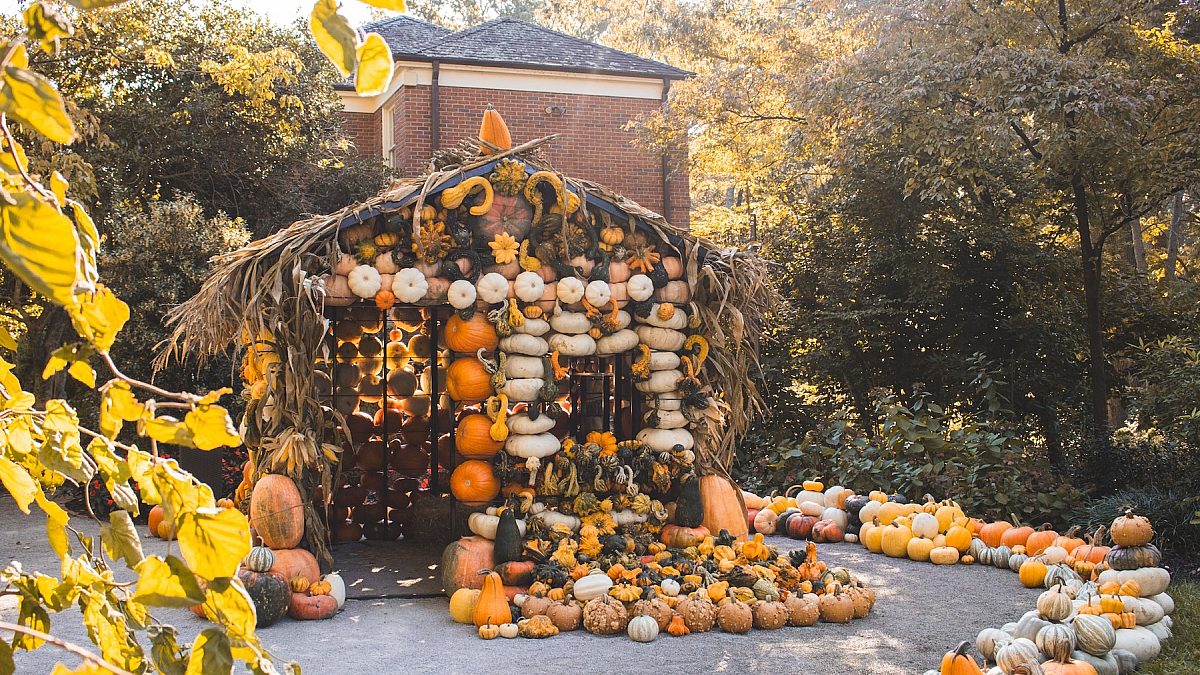 Pumpkin-House-fall-pumpkins