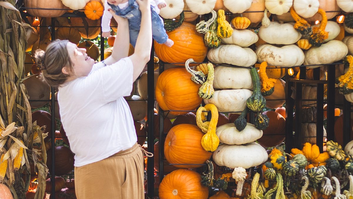 pumpkinhouse-family-baby-pumpkins