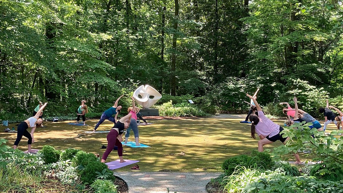 several adults on yoga mats following instructor in garden