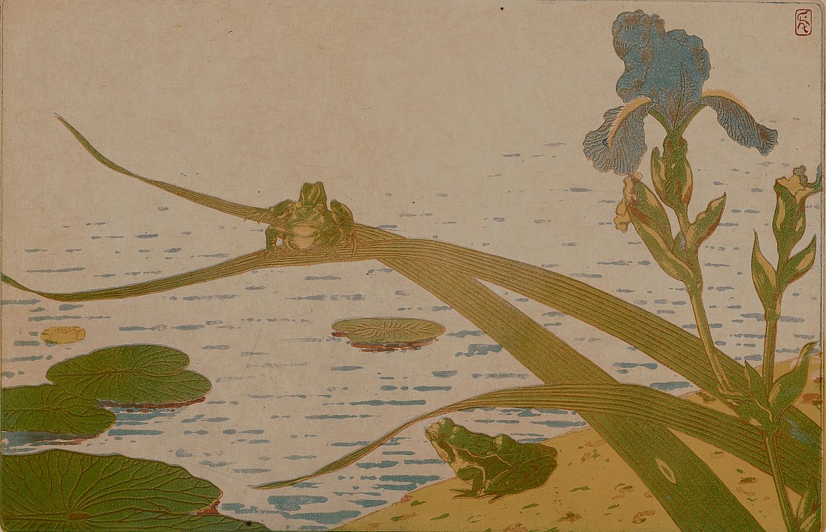 L Estampe Houdard Frogs