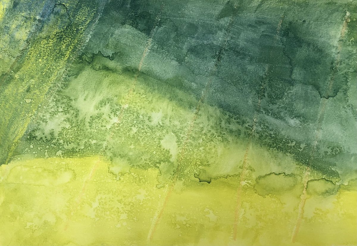 Chip Westbrook Seeing the Forest and the Trees at the same time