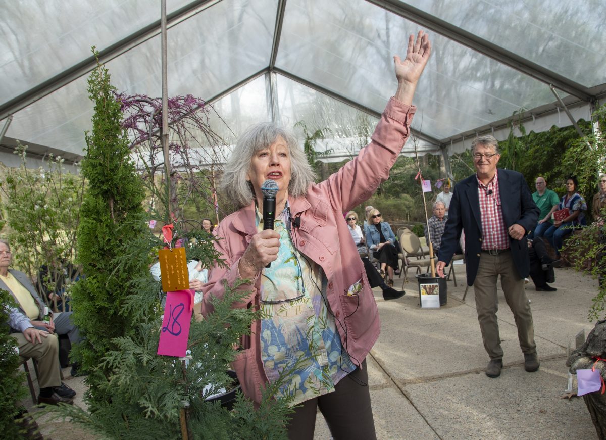 woman auctioneering at the rare plant and garden ornament auction