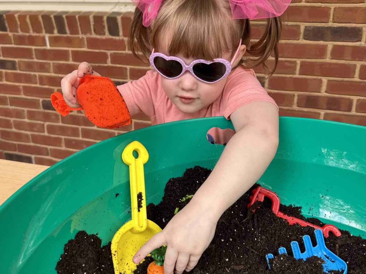 Mini Master Gardening