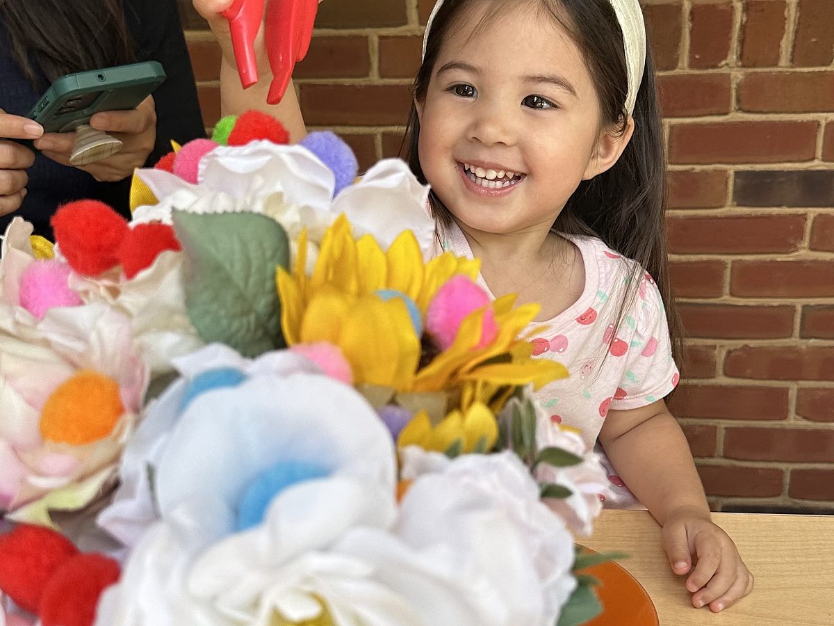 Mini Masters Pollinator Activity