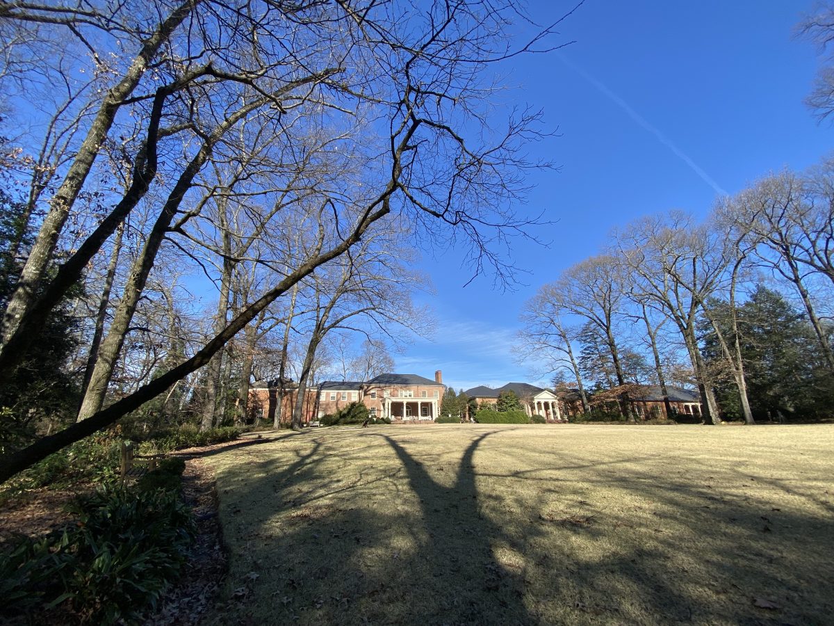 lawn leading up to museum building with long shadows of trees