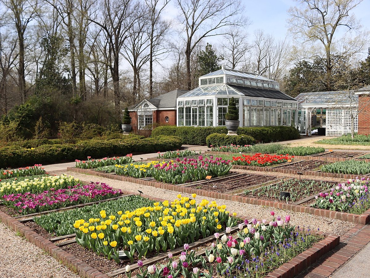 greenhouse surrounded by garden boxes of tulips