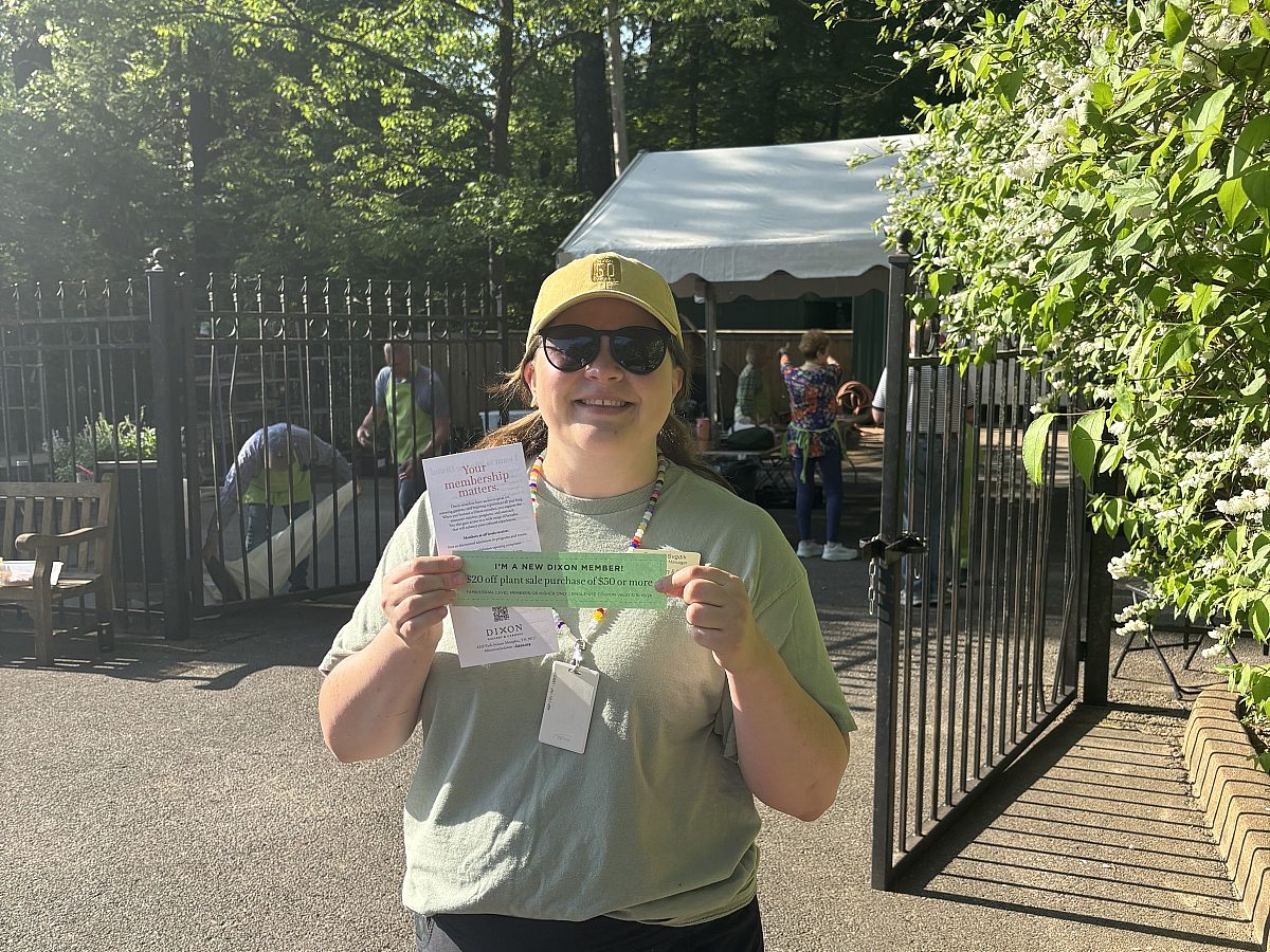 Dorothy Plant Sale 2026 3