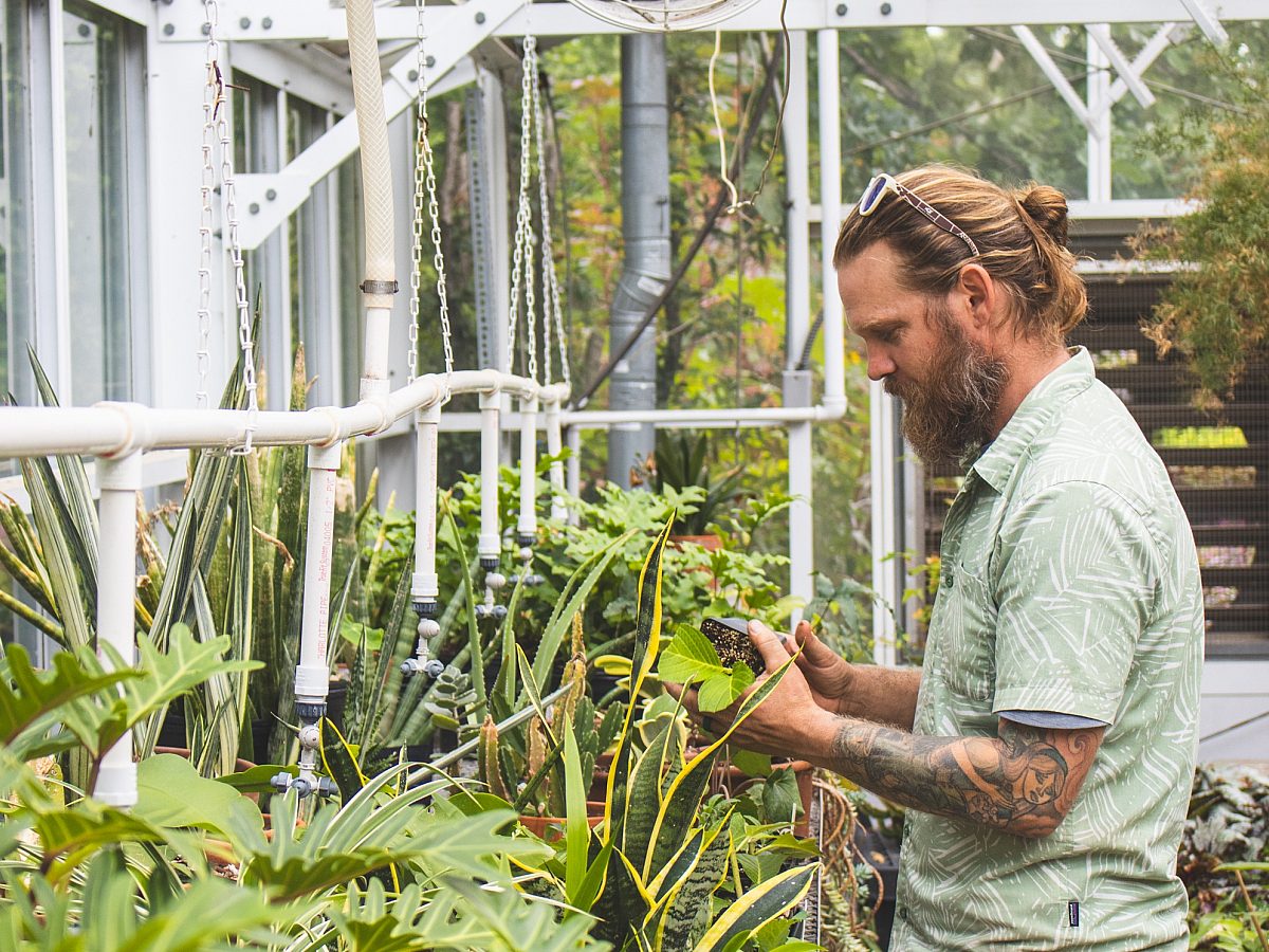 Adam-greenhouse-gardenstaff-plants-2024
