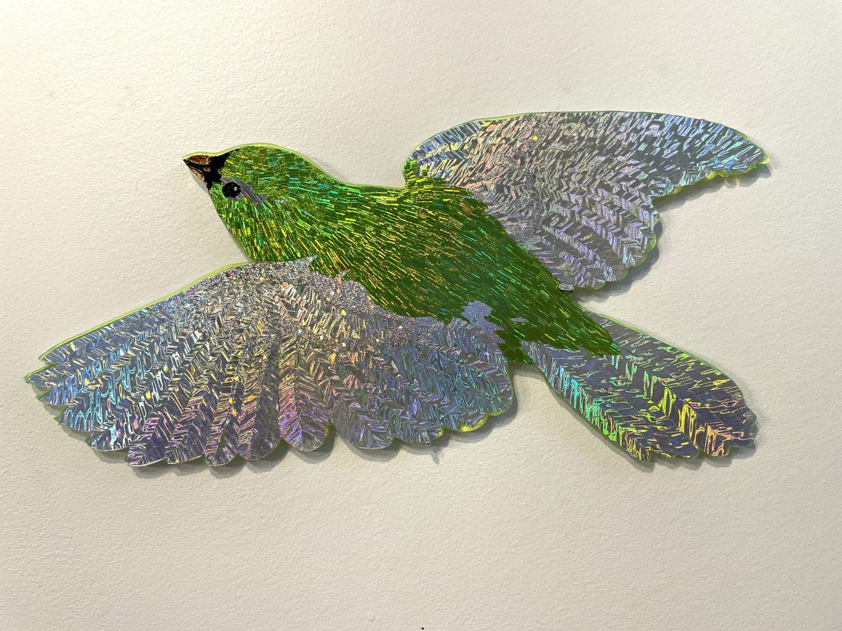 Karimnia Guide Bird 14 front 2026 9x15 plexi and foil 200