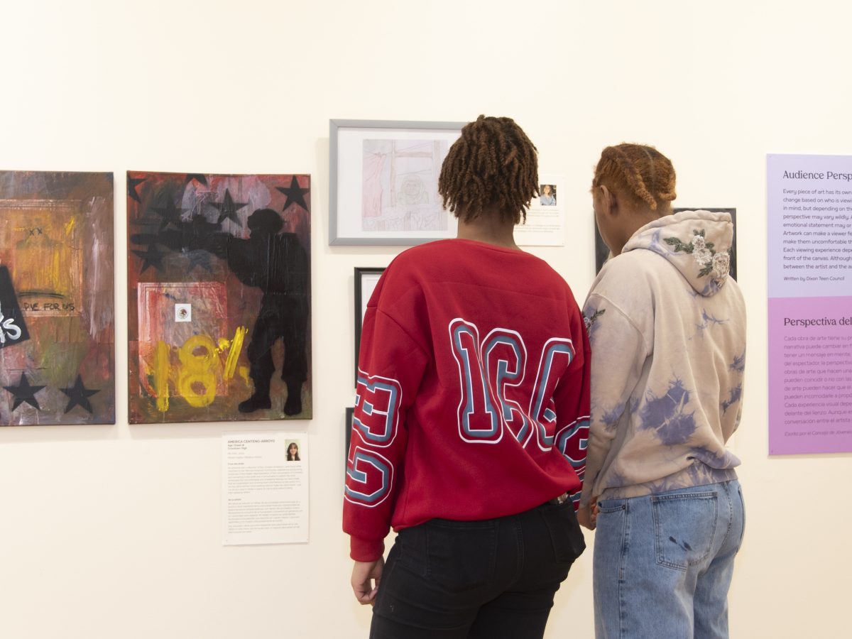 People-Looking-At-Art