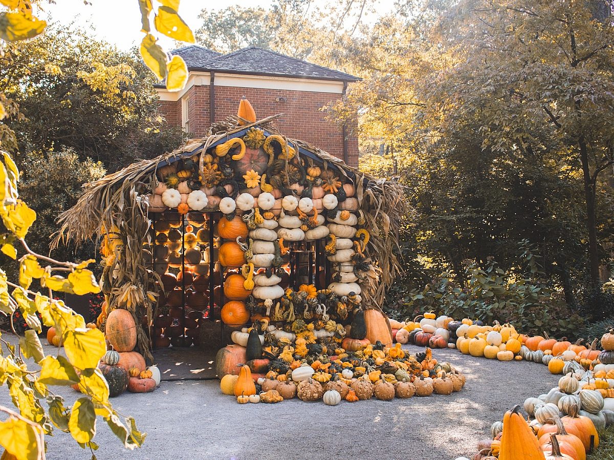 Pumpkin-House-fall-pumpkins