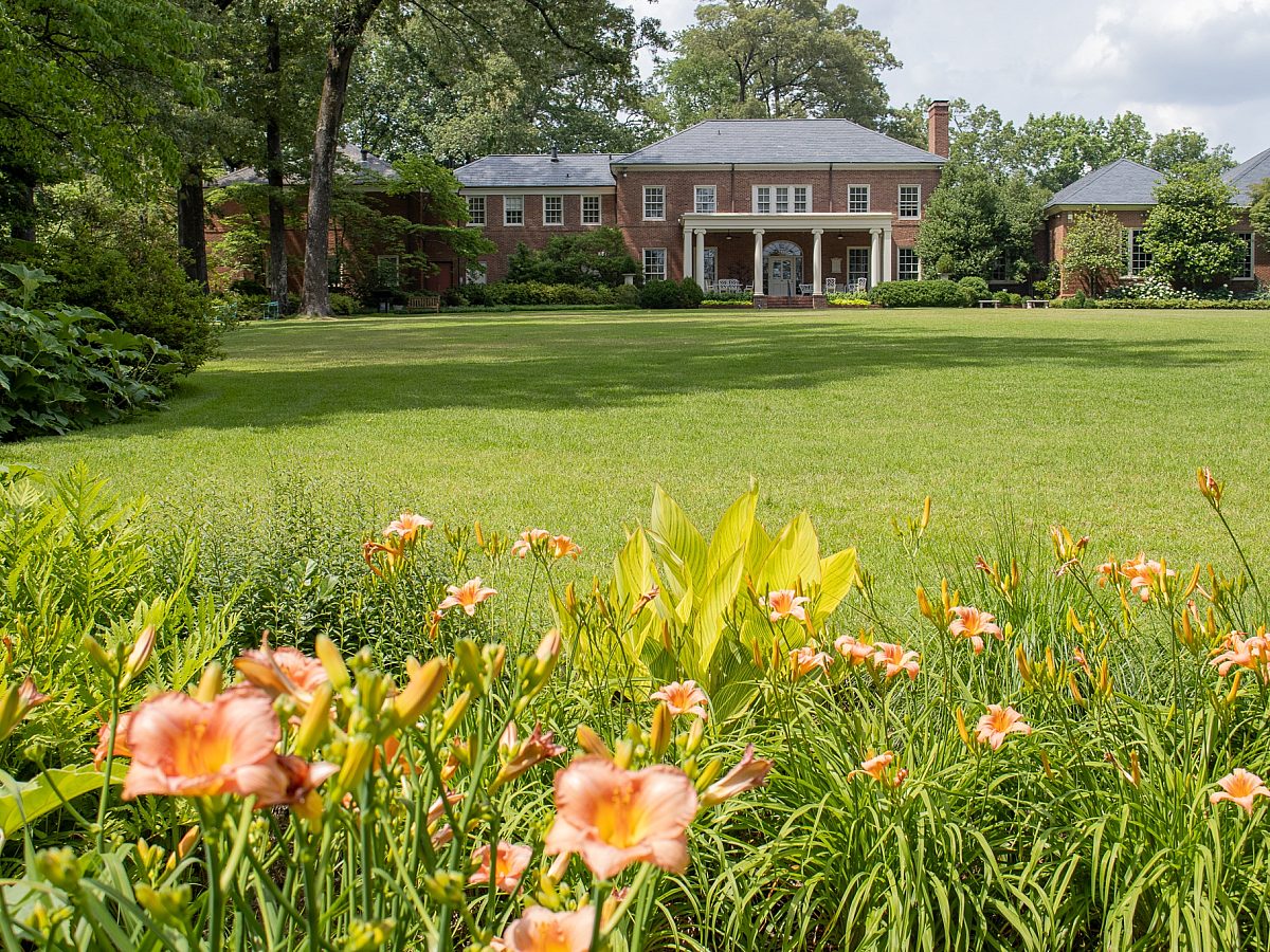 Summer Gardens South Lawn Hydrangeas Perinnial Border 02