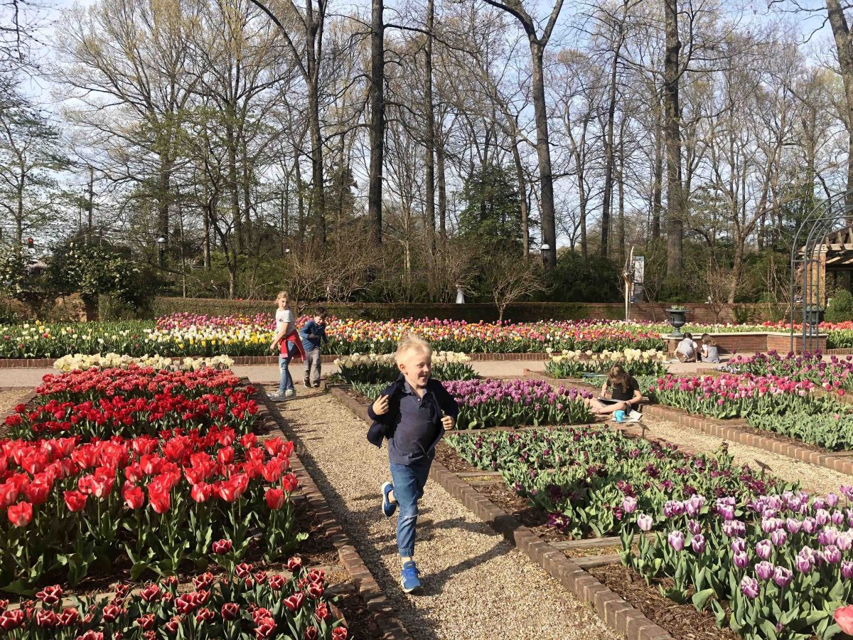 children playing in tulip garden