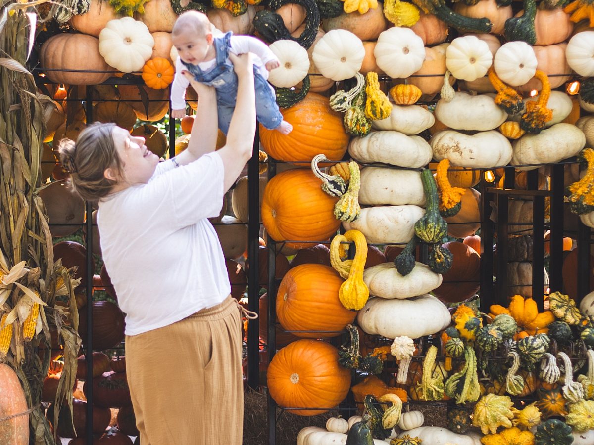 pumpkinhouse-family-baby-pumpkins
