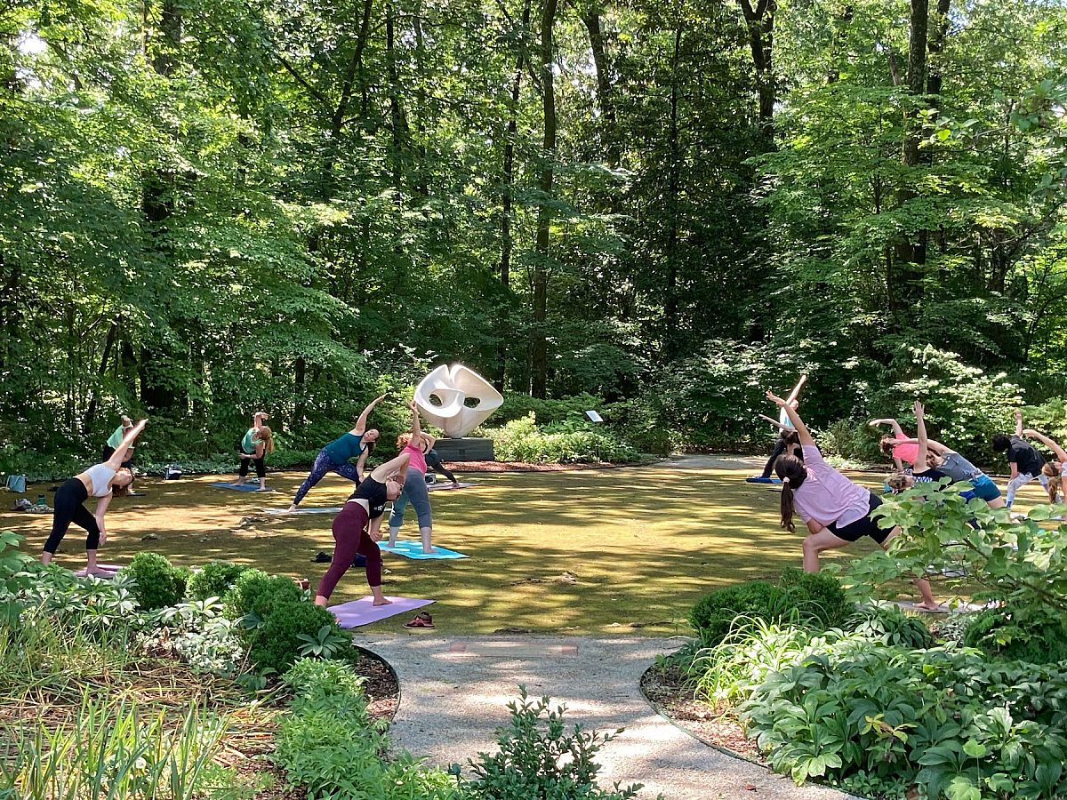 several adults on yoga mats following instructor in garden