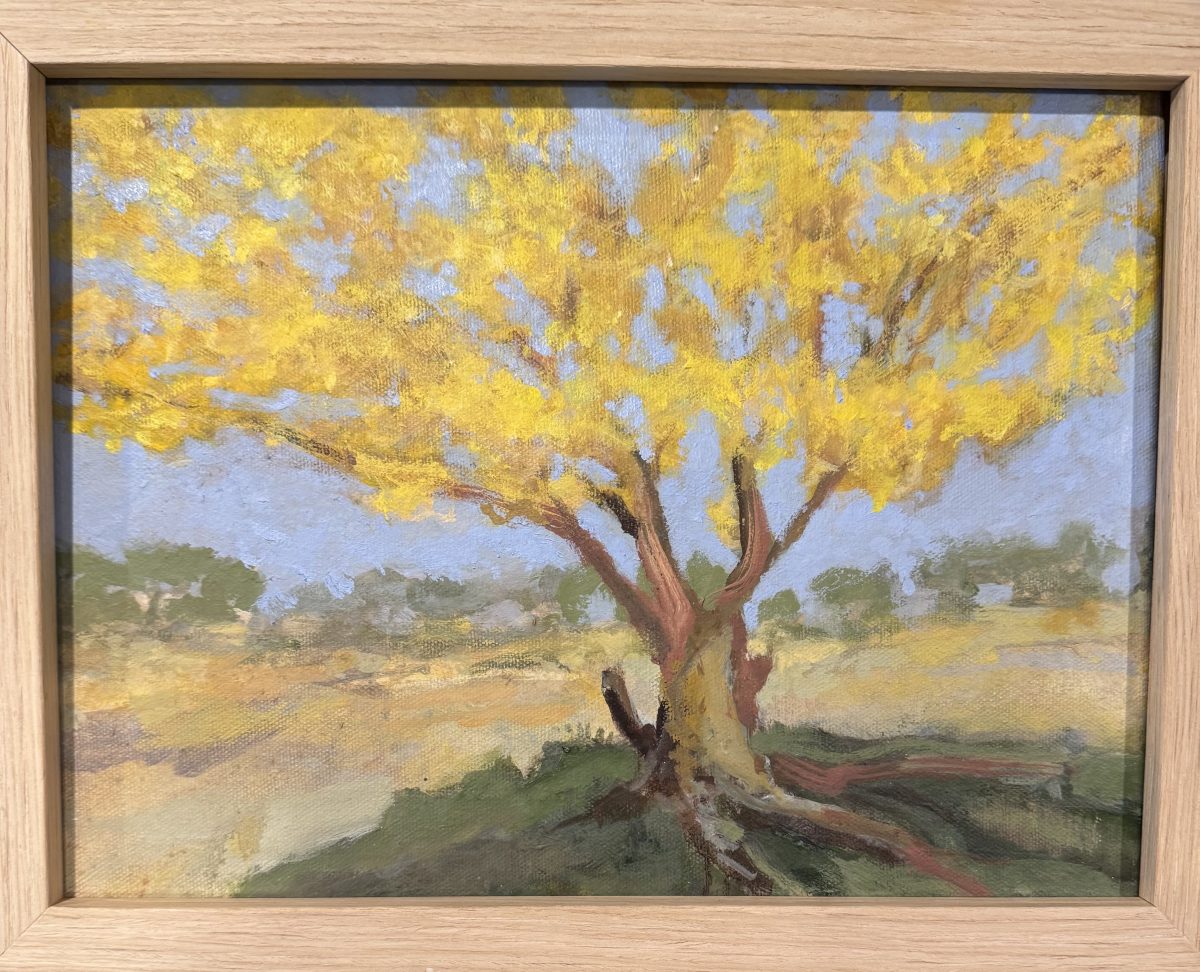 Bougher George Yellow Tree