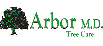 Arbor Md logo 2024
