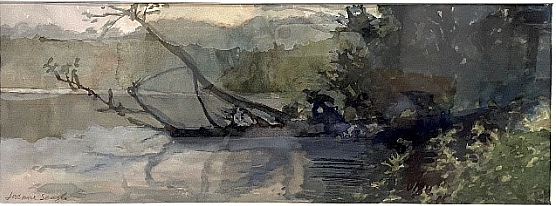 Fallen Tree
