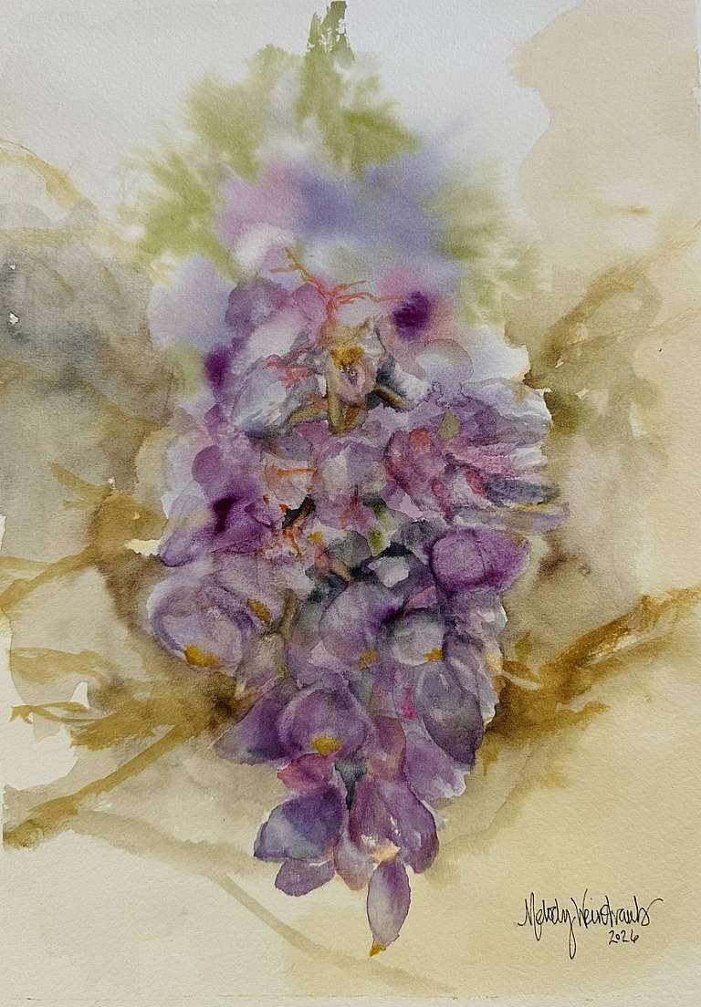 Wistful Wisteria Melody Weintraub